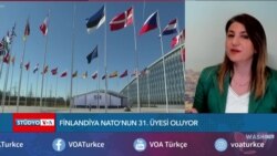 "Finlandiya Yarın NATO'nun 31. Üyesi Olacak" 